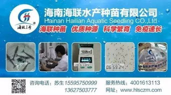 行情高漲激發養戶熱情，淡水魚功能料時代 超越噱頭的技術深耕與價值回歸